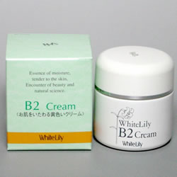 B2�N���[��