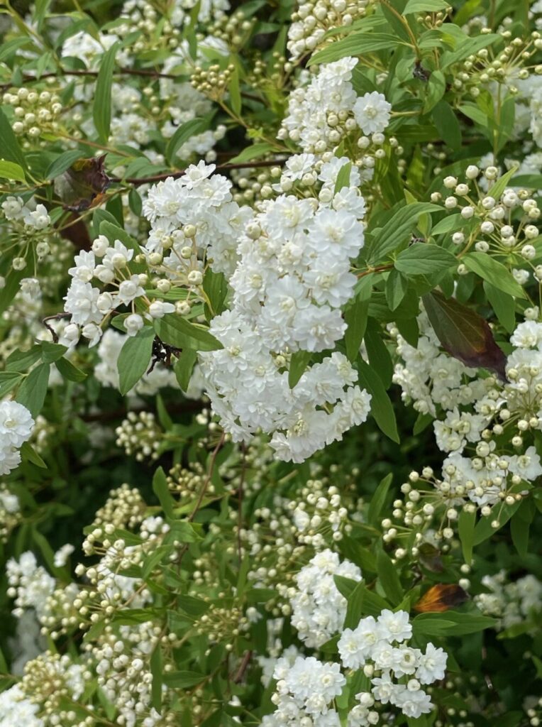 緊張と不安の四月病