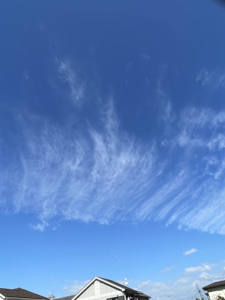 パーキンソン病と蔵躁