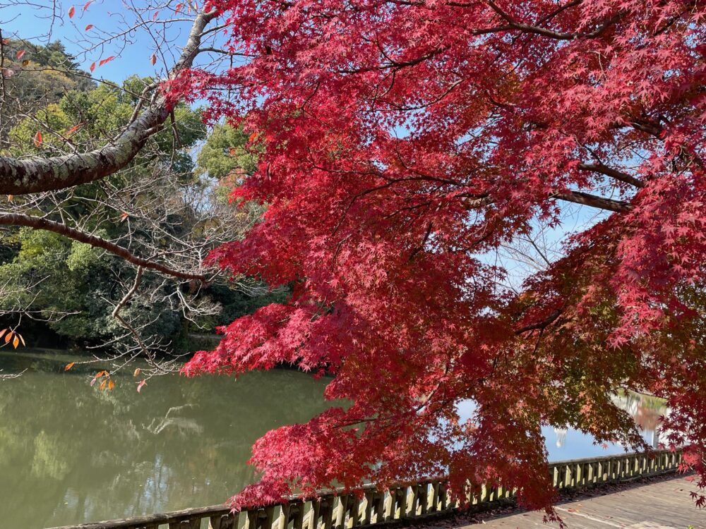 慢性頭痛の改善事例