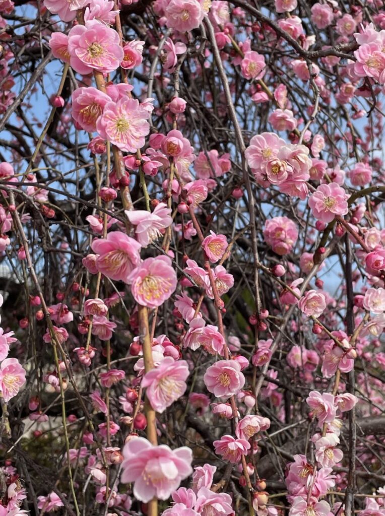 春の胃腸トラブル