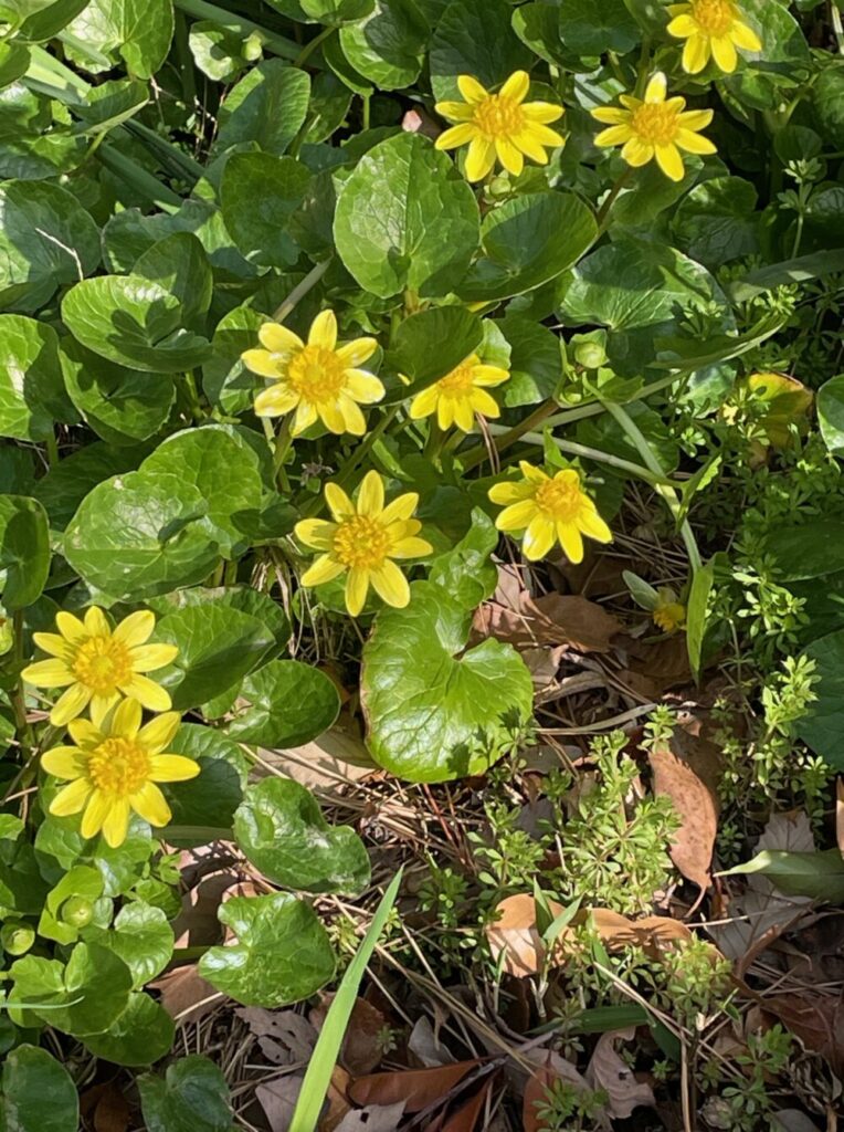 泡立つ尿の改善