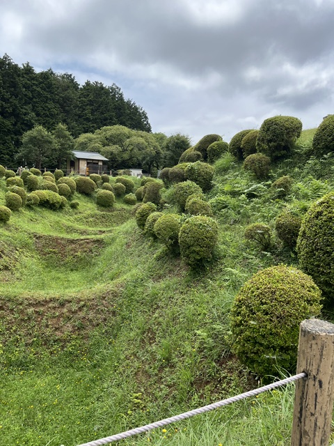 抗精神薬と漢方薬の併用
