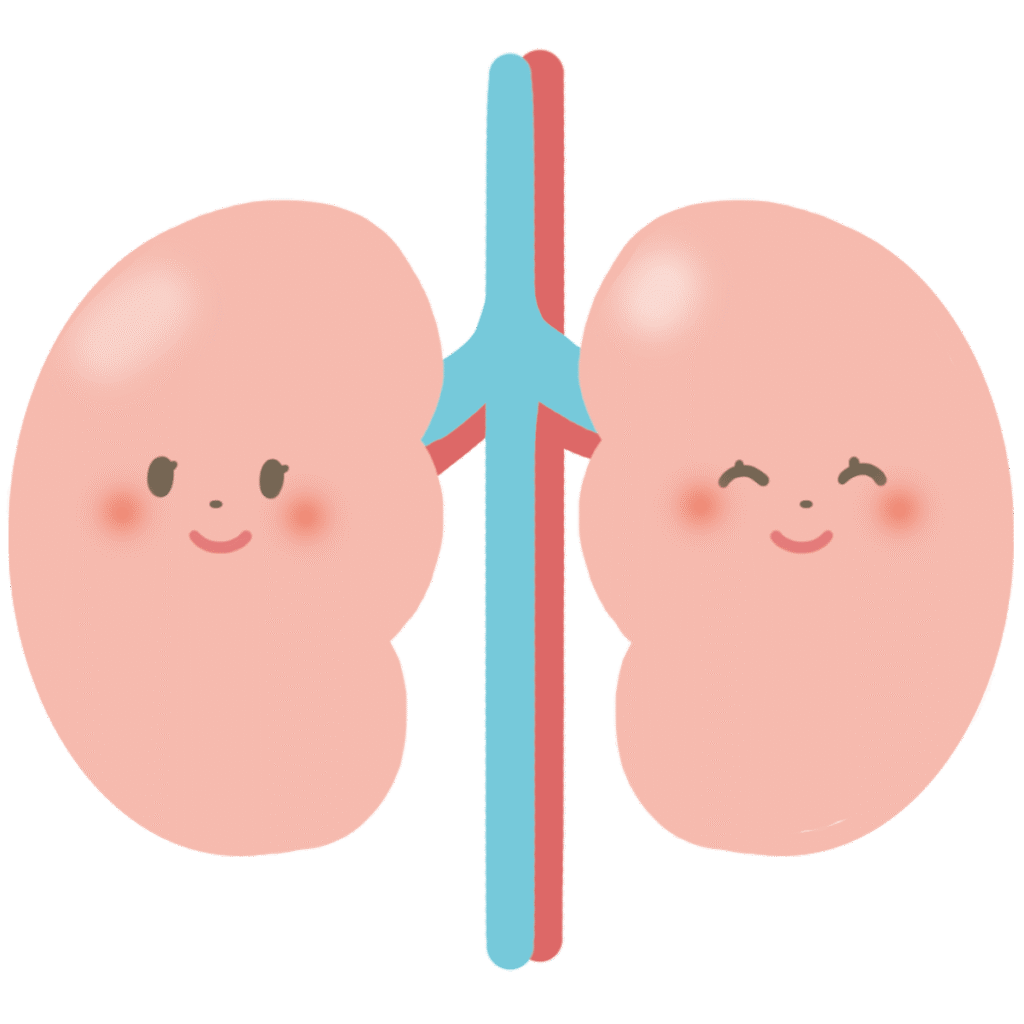 腎機能低下の進行と改善について