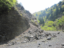 photo1.jpg