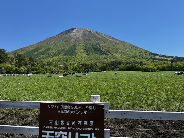 原発性無月経と漢方