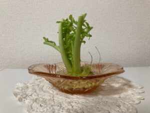 大根の葉