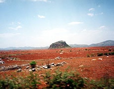 赤茶色の大地・トウモロコシ畑