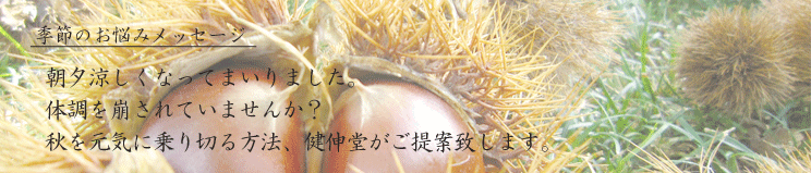 秋バテ