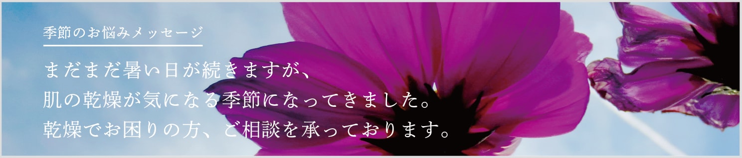 乾燥肌