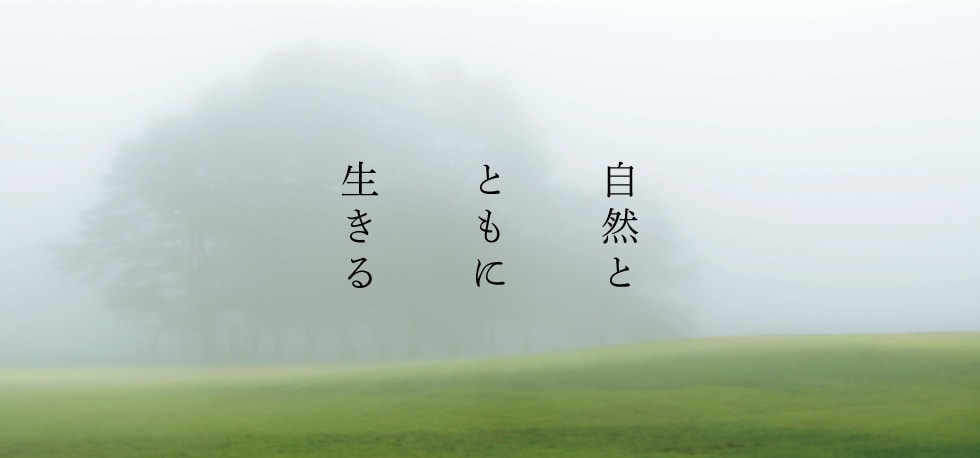 京都の漢方薬局【漢方の健伸堂薬局】：不妊には周期療法に経験豊富な女性国際中医専門員が対応いたします。