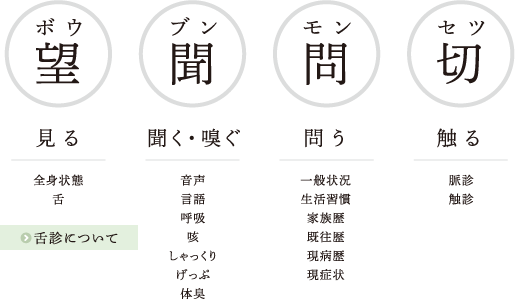 見る/ 聞く・嗅ぐ/問う/触る/