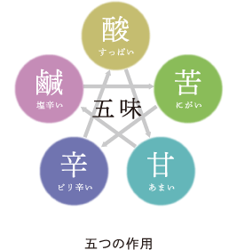 酸/苦/甘/辛/鹹　五つの作用