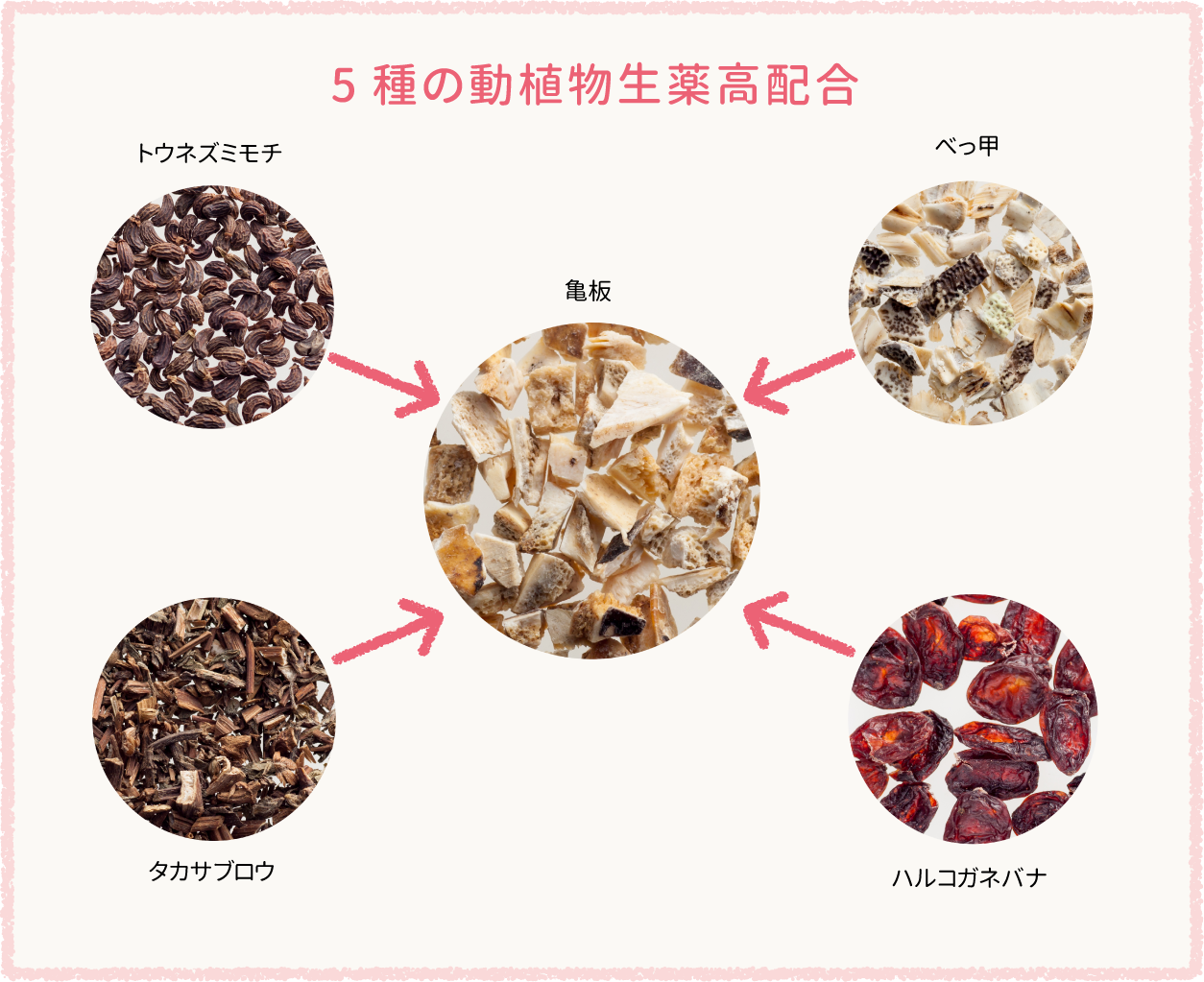 5種の動植物生薬高配合