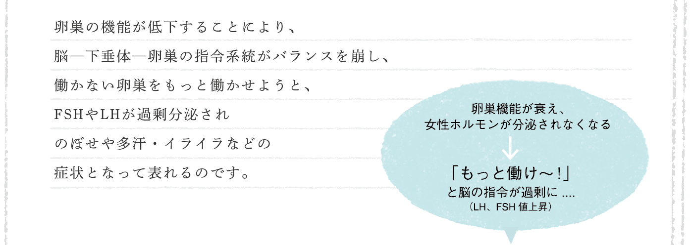 卵巣の機能が低下することにより、脳—下垂体—卵巣の指令系統がバランスを崩し、働かない卵巣をもっと働かせようと、FSHやLHが過剰分泌されのぼせや多汗・イライラなどの症状となって表れるのです。