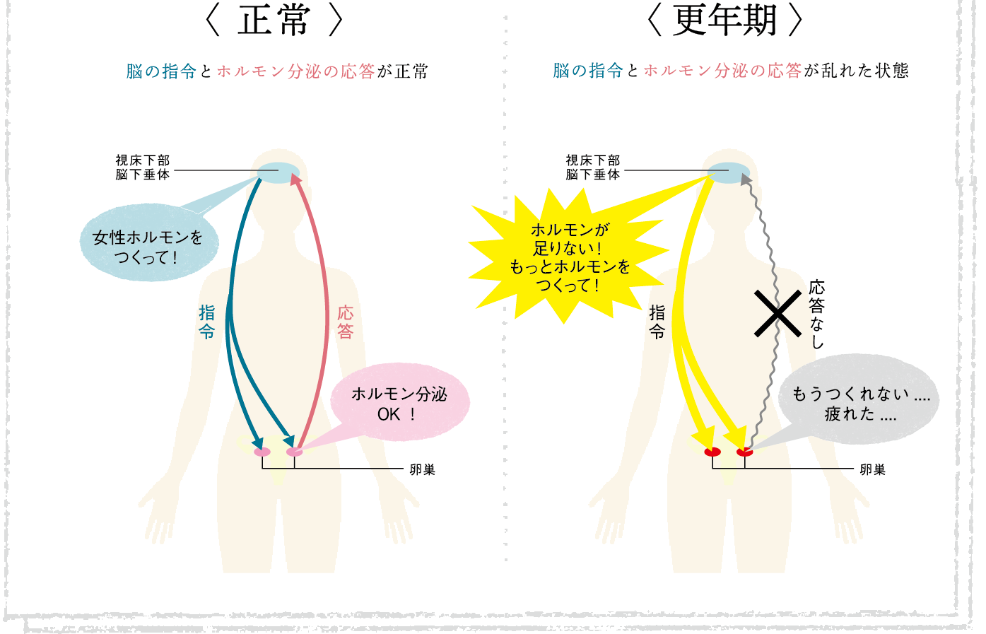 脳の指令とホルモン分泌の応答が正常な状態と乱れた状態