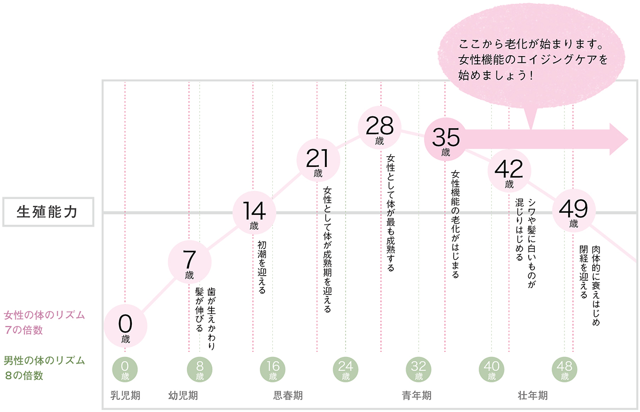 年齢による生殖能力の変化