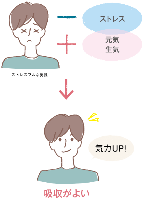 吸収がよい