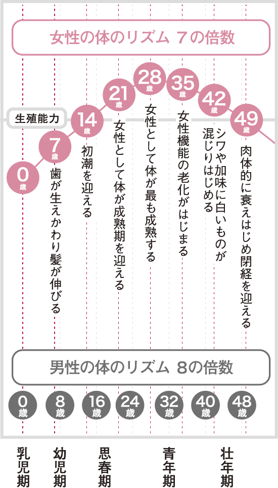 女性の体のリズム（７の倍数）男性の体のリズム（８の倍数）