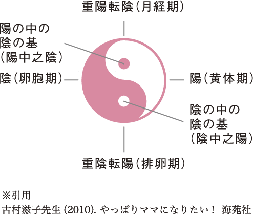 基礎体温における中医陰陽理論