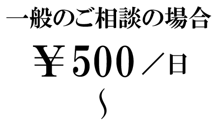 一般：一日500円～